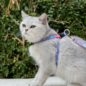 Discover the Ultimate Bell Chest Strap Pet Harness Leash Set for Your Feline Friend