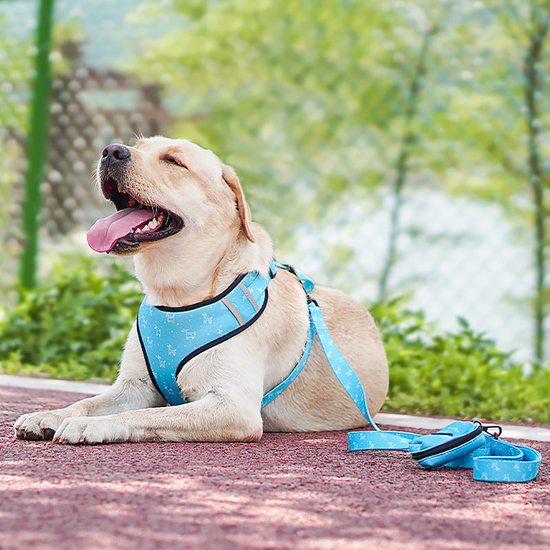 Bow Style Pet Harness Leash Set: The Perfect Blend of Style and Functionality