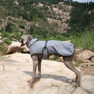 Keep Your Furry Friends Warm This Winter with Our Outdoor Pet Shell Ski Jacket