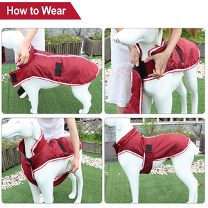 Warm Waterproof Autumn Winter Pet Jacket: The Ultimate Choice for Your Furry Friend