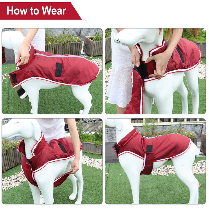 Warm Waterproof Autumn Winter Pet Jacket: The Ultimate Choice for Your Furry Friend