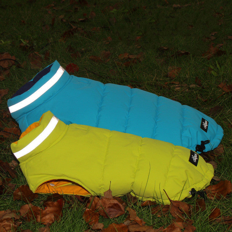 a647999b0491ee301c9827b3925af447